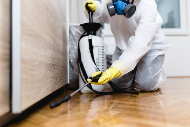 Best Pest Prevention Services  in Kincheloe, MI