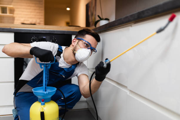 Best Ant Control Services  in Kincheloe, MI