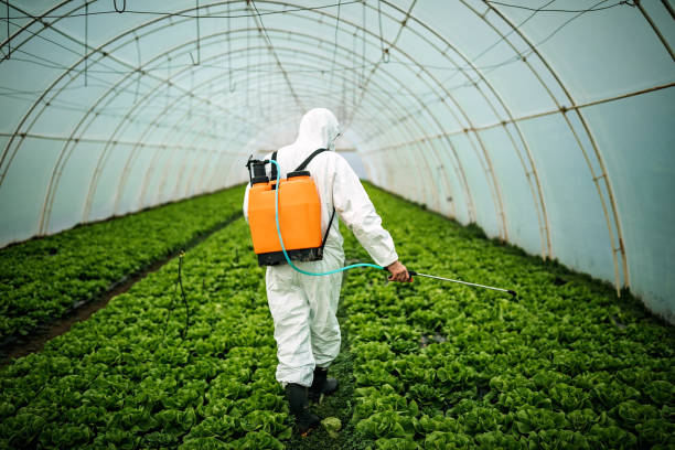 Best Affordable Pest Control Services  in Kincheloe, MI