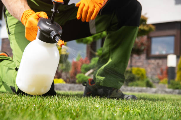 Professional Pest Control in Kincheloe, MI