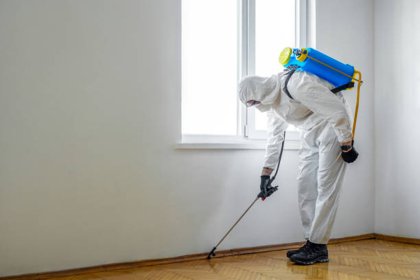 Best Termite Control Services  in Kincheloe, MI