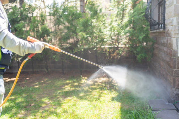 Best Pest Control for Businesses  in Kincheloe, MI