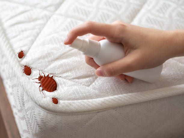 Best Cockroach Control Services  in Kincheloe, MI