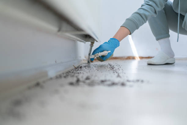 Best Residential Pest Control  in Kincheloe, MI